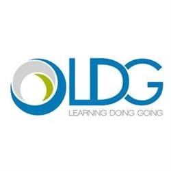 LDG Service SRL