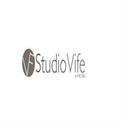 Vife S.r.l.