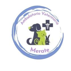 Ambulatorio Veterinario Merate - Dott.ssa Elena Veronese