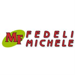Fedeli Michele