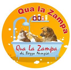 Toelettatura Qua La Zampa