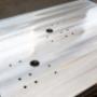 Gallery Professionale