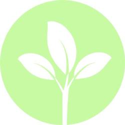 Margherita Zannoni Psicologa Psicoterapeuta