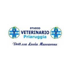 Studio Veterinario Priaruggia
