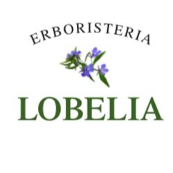 Erboristeria Lobelia