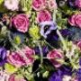 Cuscini di Fiori