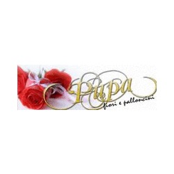 Pupa Wedding Planner