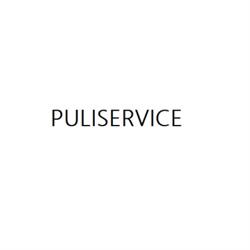 Puliservice