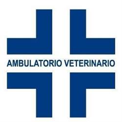 Ambulatorio Veterinario De Angelis Pio
