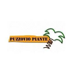 Puzzovio Piante