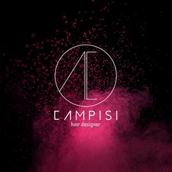 Campisi Hair Designer