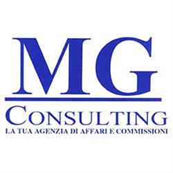 Mg Consulting Srl - Agenzia Affari e Commissioni