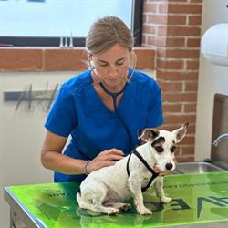 Ambulatorio Veterinario Sanes Dott.ssa Silvia Tonello