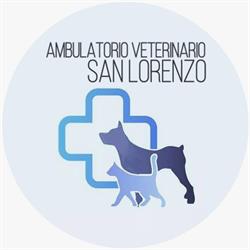 Ambulatorio Veterinario San Lorenzo