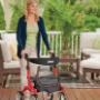 Deambulatore Rollator