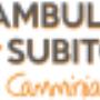 Deambulatore Subito