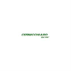 Spurghi Cernicchiaro Gilberto