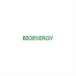 Bioenergy - Energie Rinnovabili