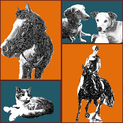 Mayr Gudrun Veterinaria