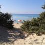 Caricato da visitatore il 27/12/2016 - Spiaggia di Punta Prosciutto