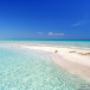 Caricato da visitatore il 27/12/2016 - Spiaggia di Punta Prosciutto