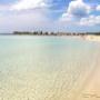 Caricato da visitatore il 27/12/2016 - Spiaggia di Punta Prosciutto