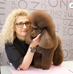 Armony Pet beauty & spa