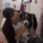 Un cane