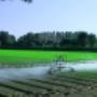 Pompe per L'Agricoltura