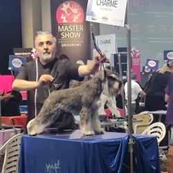 Toelettatura Andrea Pet Grooming