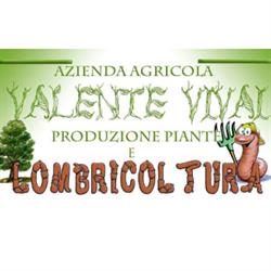 Valente Vivai