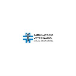 Ambulatorio Veterinario Castorina