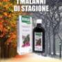 Bronisan