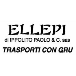 Ellepi Trasporti con Gru
