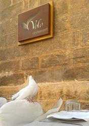 VOLO RESTAURANT