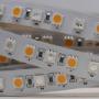Strip Led Rgbw Led Lighting