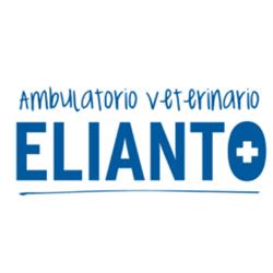 Ambulatorio Veterinario Elianto
