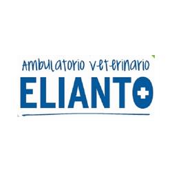 Ambulatorio Veterinario Elianto