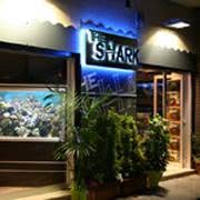 The Shark Acquari