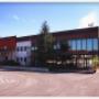 Sede