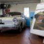 Gallery Professionale
