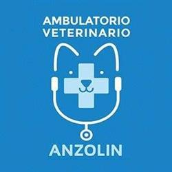 Ambulatorio Veterinario Dott.ssa Anzolin