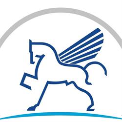 Pegaso Centro di Fisioterapia ed Ortopedia Basile