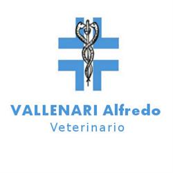 Alfredo Dr. Vallenari Medico Veterinario