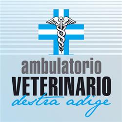 Clinica Veterinaria Destra Adige