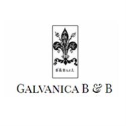 Galvanica B & B
