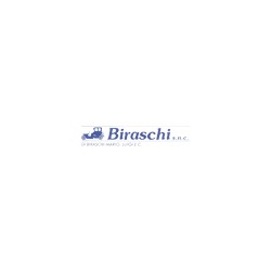 Carrozzeria Biraschi Mario & Luigi