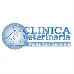 Clinica Veterinaria Ponte San Giovanni di Limongi Giuseppe e Mazzuti Anna