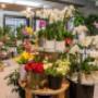 Gallery Professionale