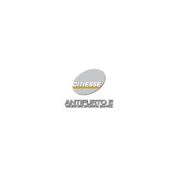 Citiesse